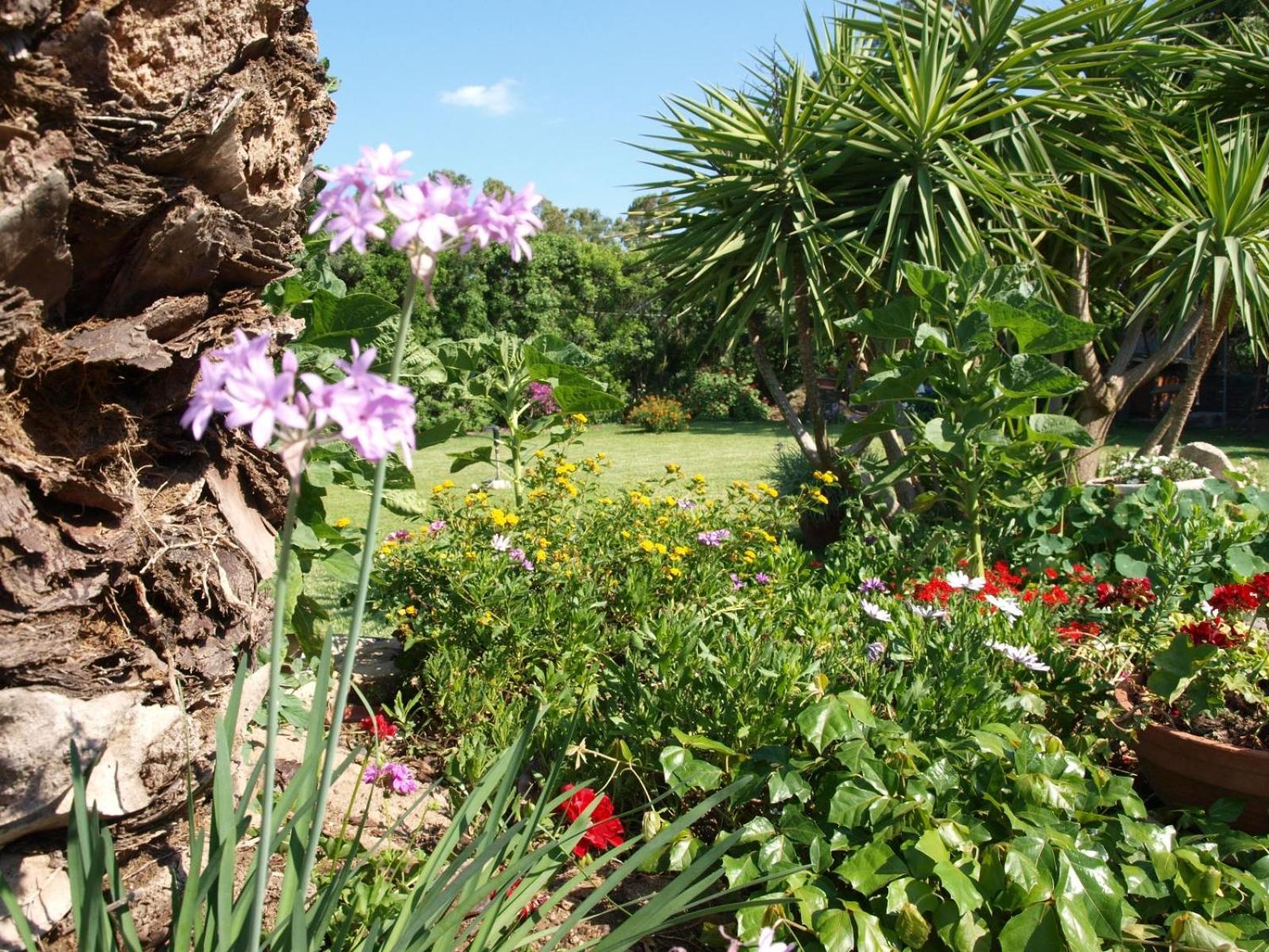 Nel Giardino In Fiore
